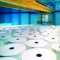 Paper roll depots