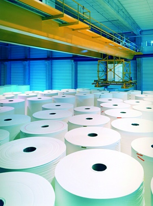 Paper roll depots